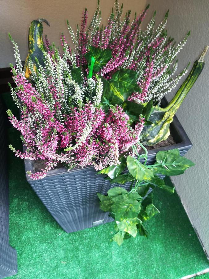 Apartman Erika - Bešeňová Екстериор снимка